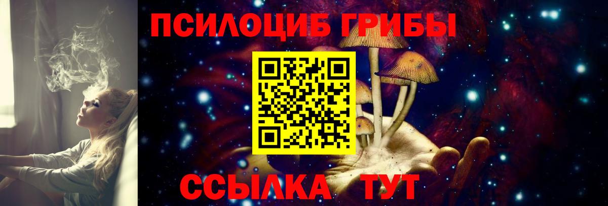 Галлюциногенные грибы прущие грибы Воскресенск